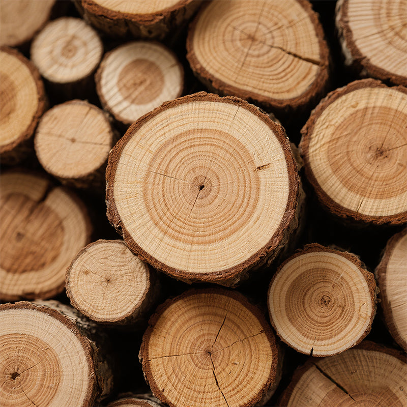 Mobilious-Our Commitment to Sustainable Wood