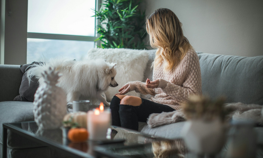 Tips for Choosing Kid- and Pet-Friendly Sofas