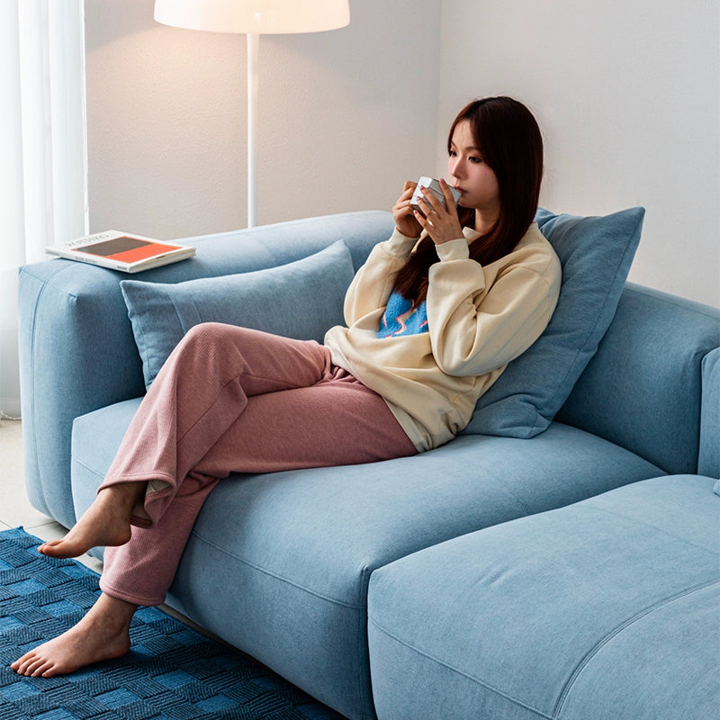 Mobilious -Glaciera Fabric Washable Blue Sofa