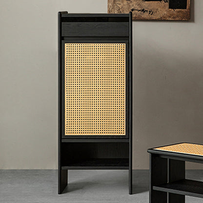 Rattanéa Solid Wood Rattan Shoe Cabinet
